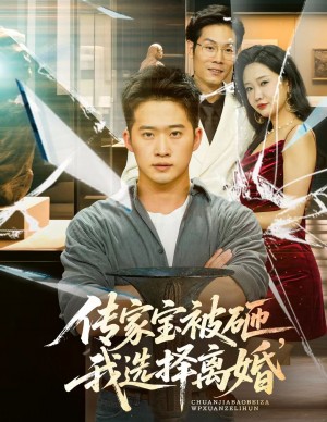 传家宝被砸，我选择离婚（传家宝被砸我选择离婚）（51集）陈恩睫