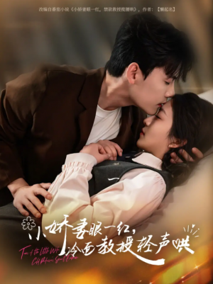 小娇妻眼一红冷面教授轻声（67集）陈刚&付予