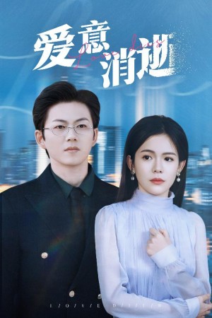 爱意消逝（谨言空许负温柔）（30集）汪思莹