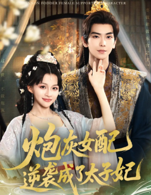 炮灰女配逆袭成了太子妃（82集）常斌&赵飞雪