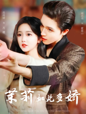 茉莉如此多娇  未删减版（64集）梁思伟&岳雨婷