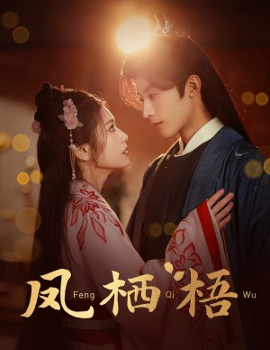 凤栖梧（60集）林七月