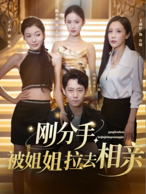 刚分手，被姐姐拉去相亲&刚分手被姐姐拉去相亲（73集）王子茜&陈小瑜&王满婷