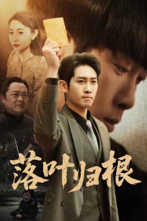 落叶归根（认祖归宗）（35集）彭羽＆王圻嘉