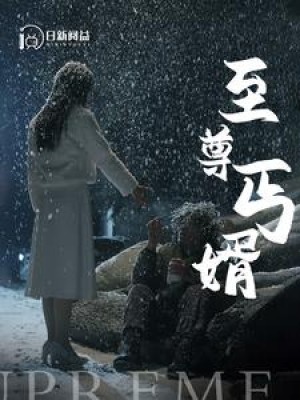 《至尊丐婿》