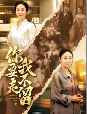 你要走我不留&你要走，我不留（60集）沈淮&纪泠希