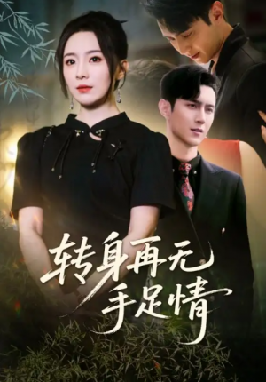 转身再无手足情（71集）希尔力&周弋茜