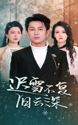 迟雪不复旧云深（45集）伍怡