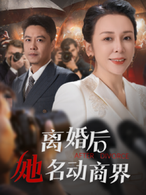 离婚后她名动商界（中年离婚后她名动商界）（30集）
