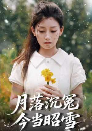 月落沉冤今当昭雪（60集）魏浩然＆王倩
