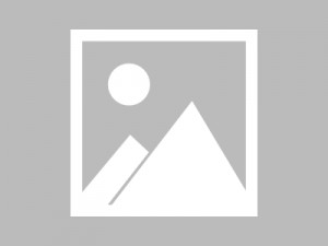 我在现代娇养公主（41集）苏雨桐