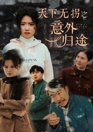 天下无拐之意外归途（天下无拐之别动我的孩子）（61集）高洁慧