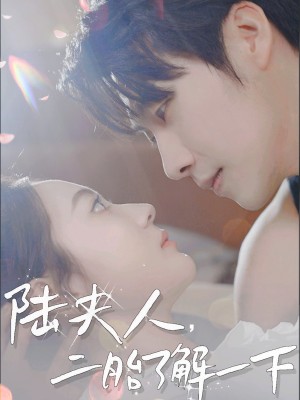 陆夫人二胎了解一下（陆夫人，二胎了解一下）（83集）张韫韬＆曾和惠子&袁传琪